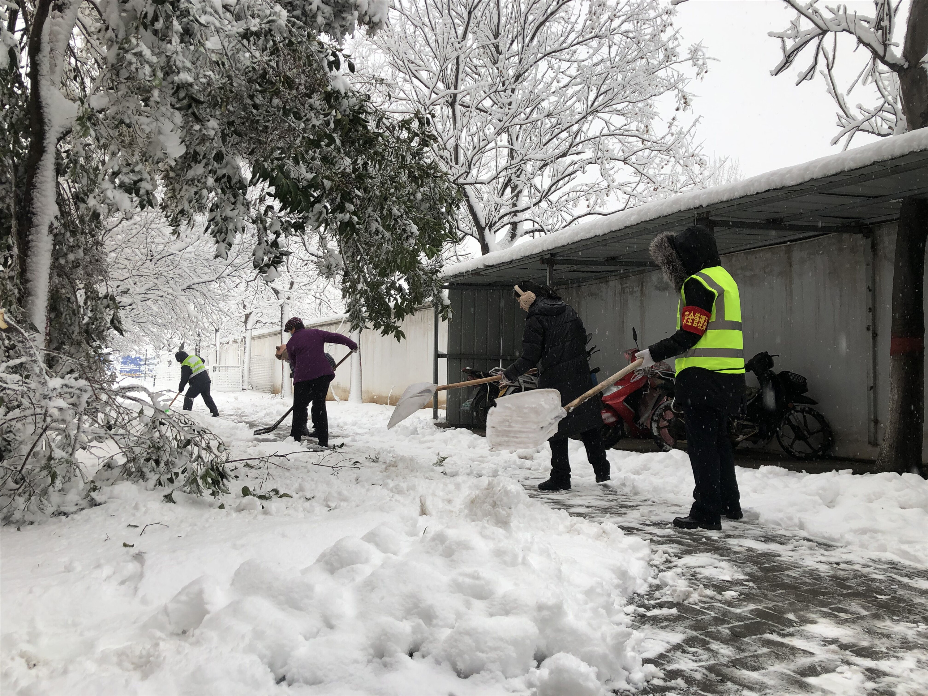 TIM圖片20200106133646_副本.jpg TIM圖片20200106133646_副本.jpg